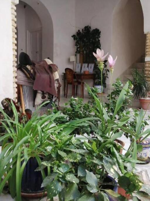 Apartamento El Sosiego Sanlúcar de Barrameda Exterior foto